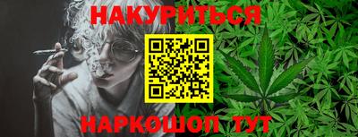 a pvp Обь